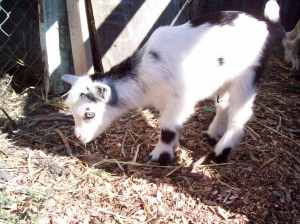 futurewether futurewether