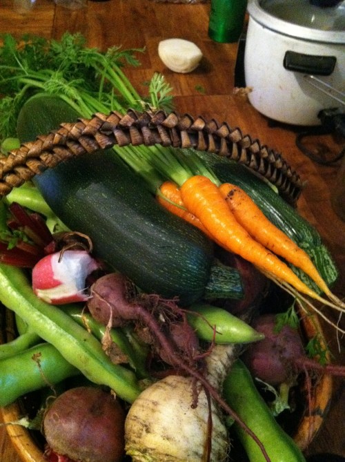 harvestbasket