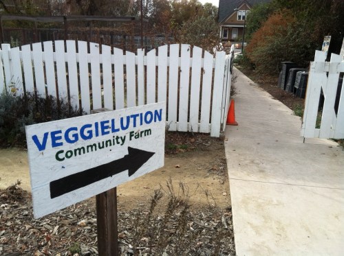 veggielution